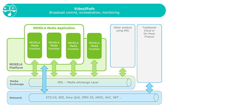 Nevion moxela diagram