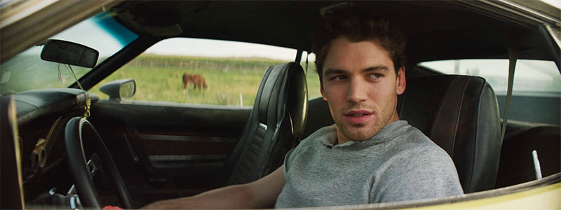 Gold hearts Kobzantsev zack car2