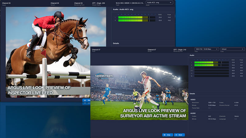 Telestream ArgusScreen liveLook