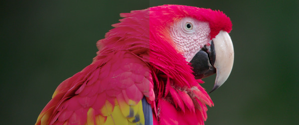 Bcom adaptive HDR Converter2