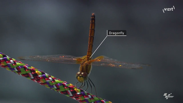 Vizrt motiion track motogp2