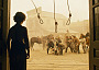 Blackmagic billy the kid3