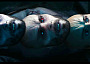 Digital domain morbius dhg